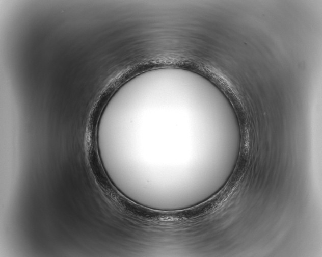 X0000096670636200802051010