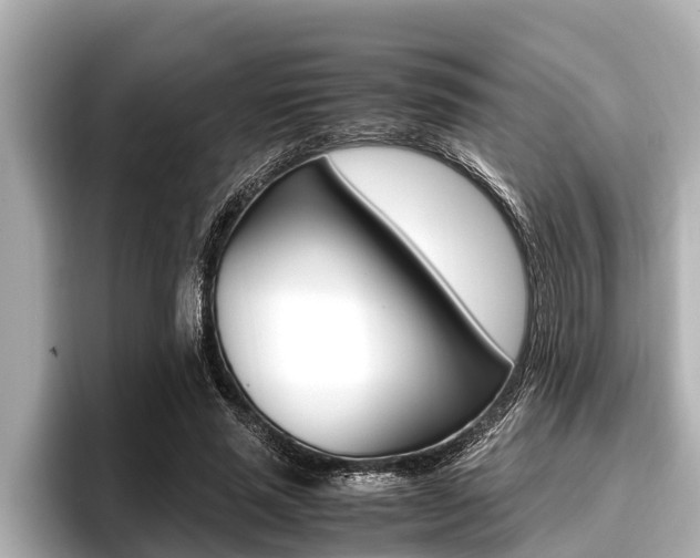 X0000096670637200802051010