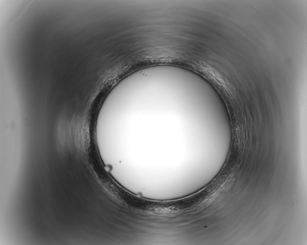 X0000096670638200802051010
