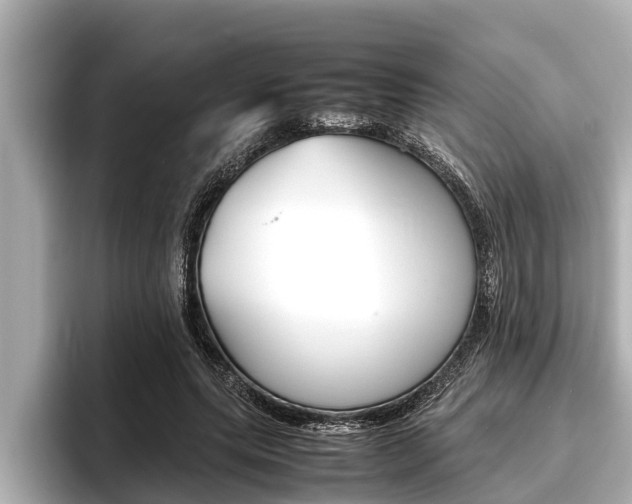 X0000096670639200802051010