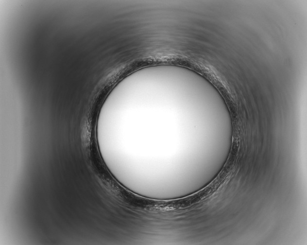 X0000096670640200802051010