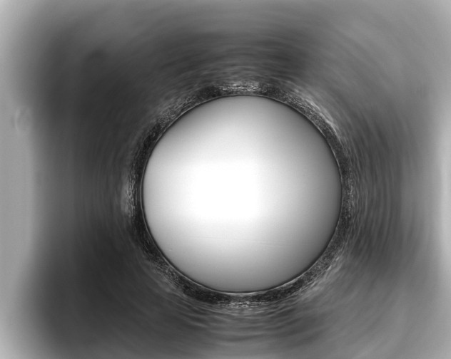 X0000096670641200802051010