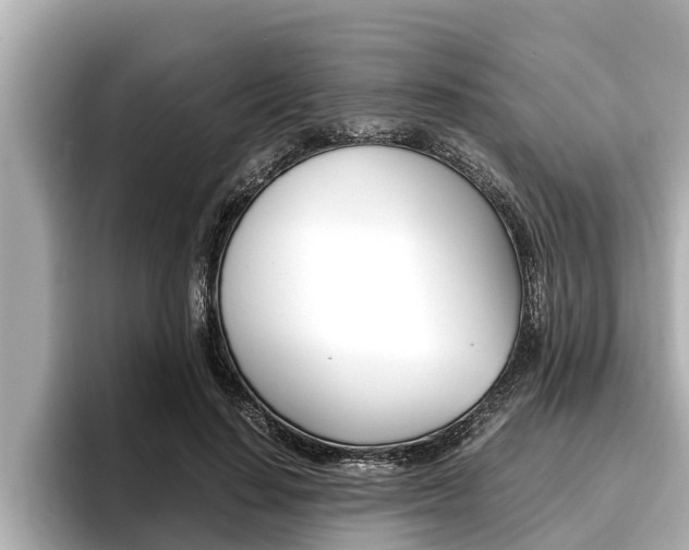 X0000096670644200802051011