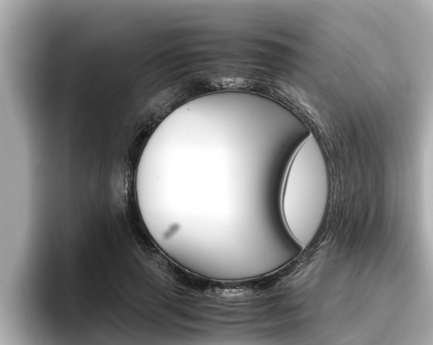 X0000096670645200802051011