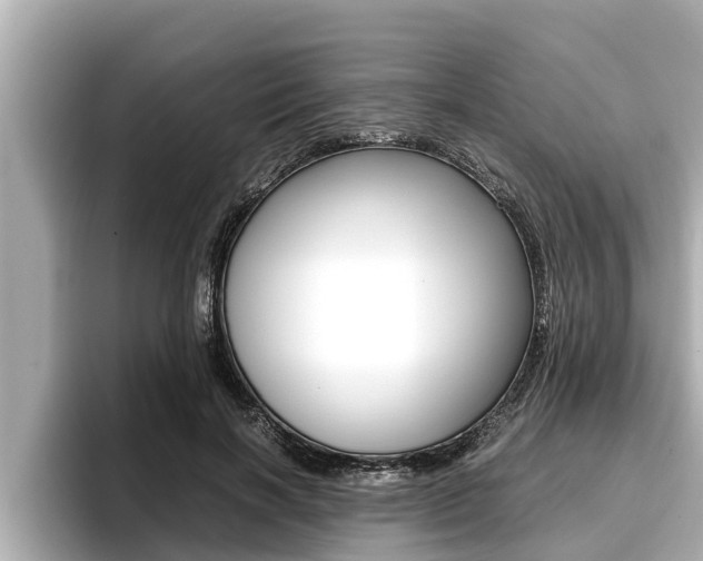 X0000096670646200802051011