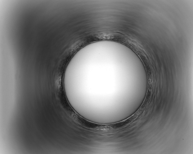 X0000096670652200802051011