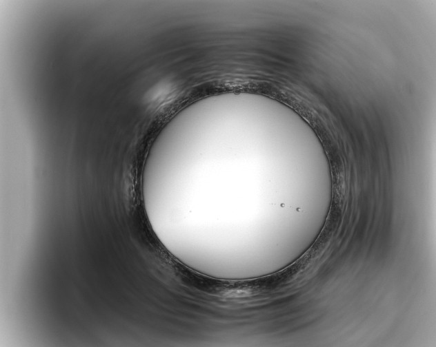 X0000096670653200802051011
