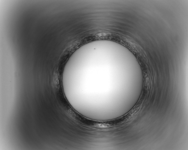 X0000096670654200802051011