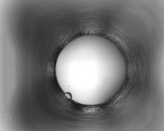 X0000096670661200802051011