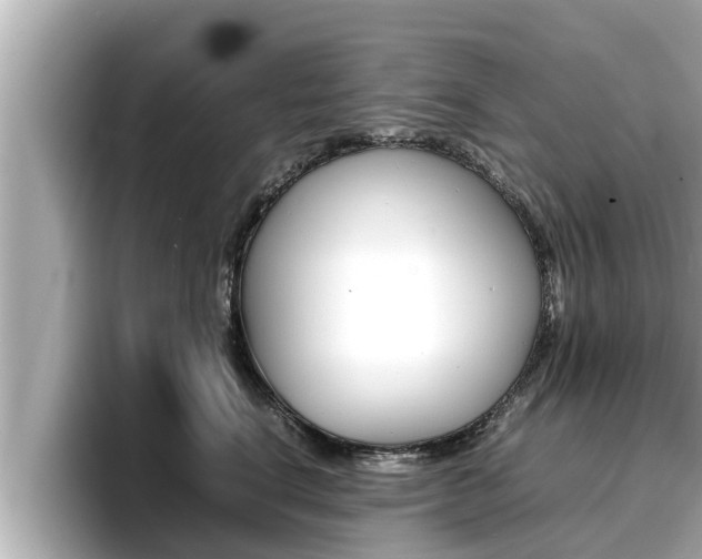 X0000096670664200802051011