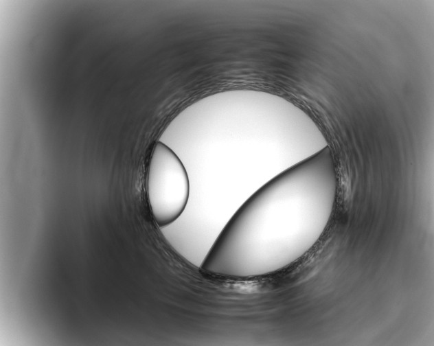 X0000096670665200802051011