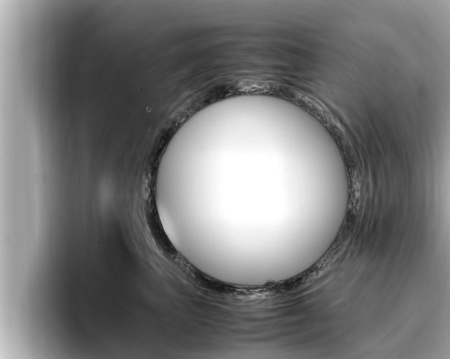 X0000096670667200802051011