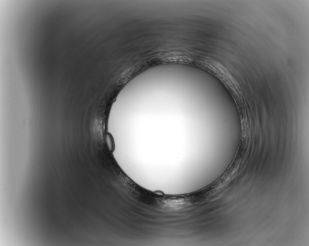 X0000096670669200802051011