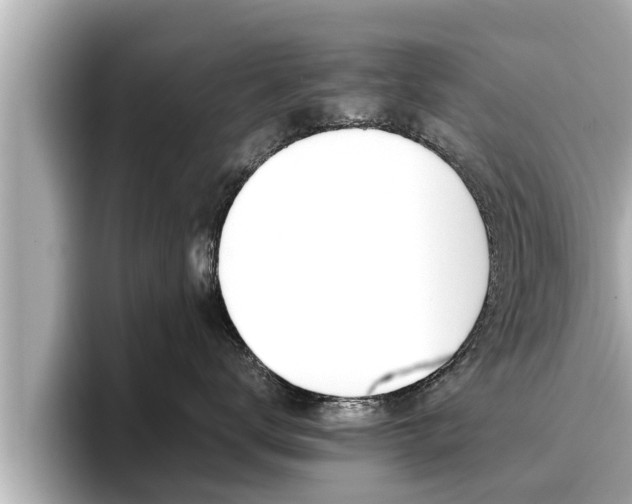 X0000096670672200802051011