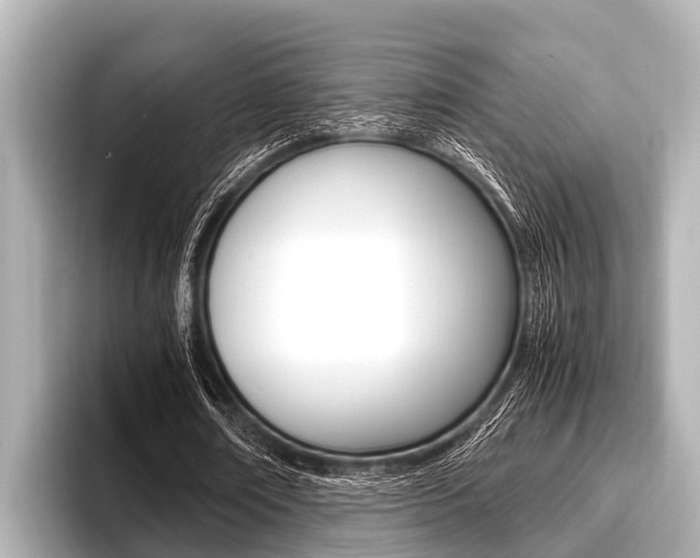X0000096670674200802051010