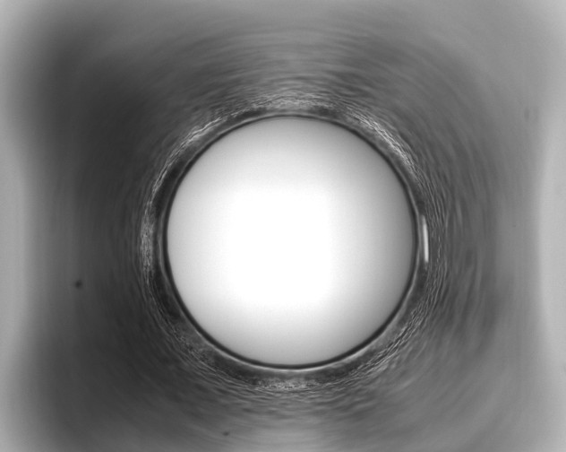 X0000096670675200802051010