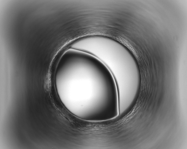 X0000096670676200802051010