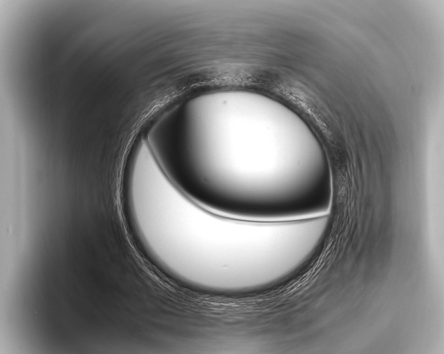 X0000096670677200802051010