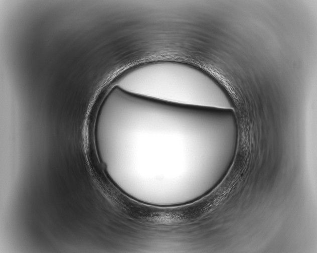 X0000096670678200802051010