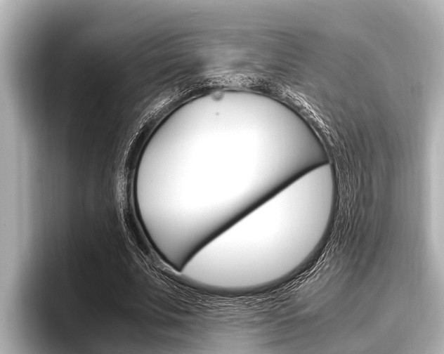 X0000096670679200802051010