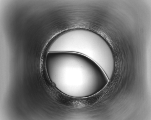 X0000096670680200802051010