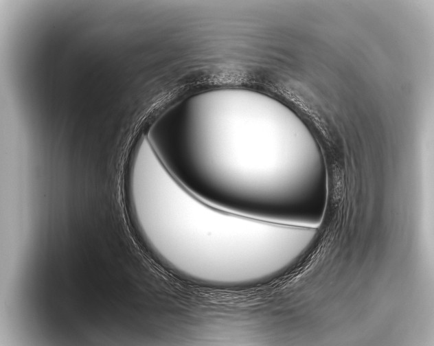 X0000096670681200802051010