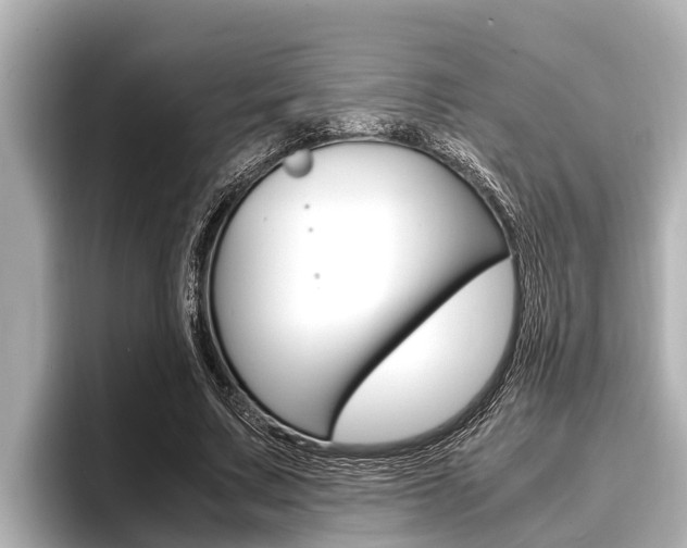 X0000096670683200802051010