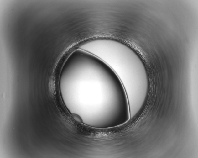 X0000096670684200802051010