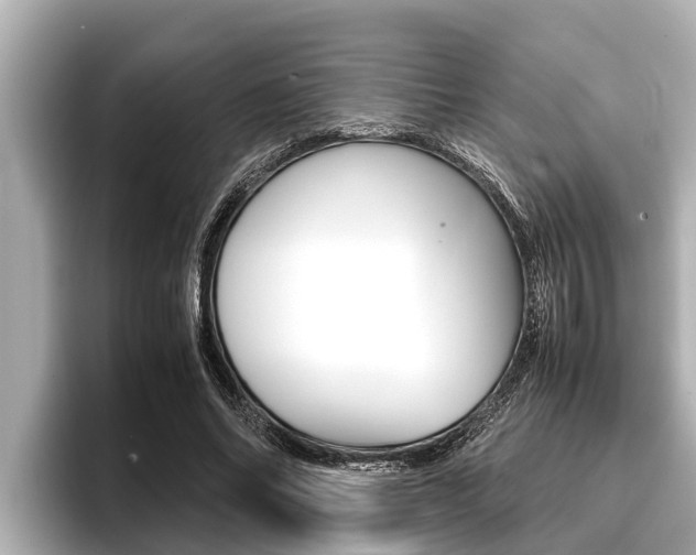 X0000096670686200802051010