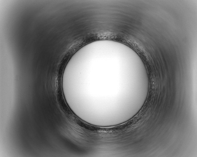 X0000096670690200802051010
