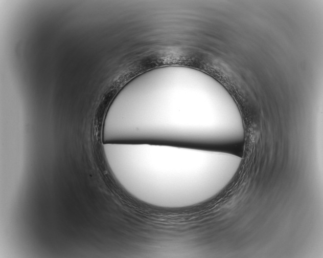 X0000096670691200802051010