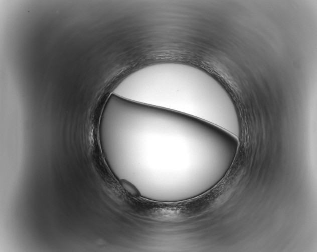 X0000096670692200802051010