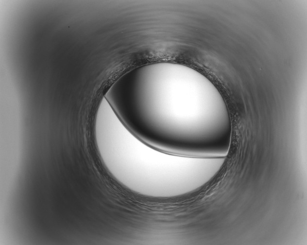 X0000096670693200802051010