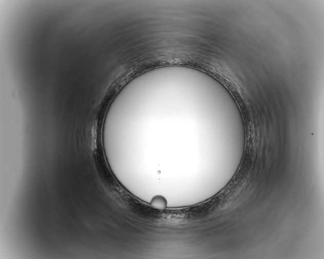 X0000096670694200802051010