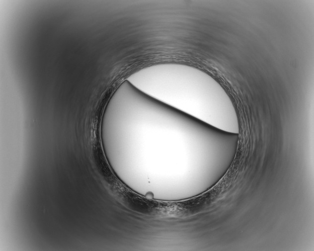 X0000096670695200802051010