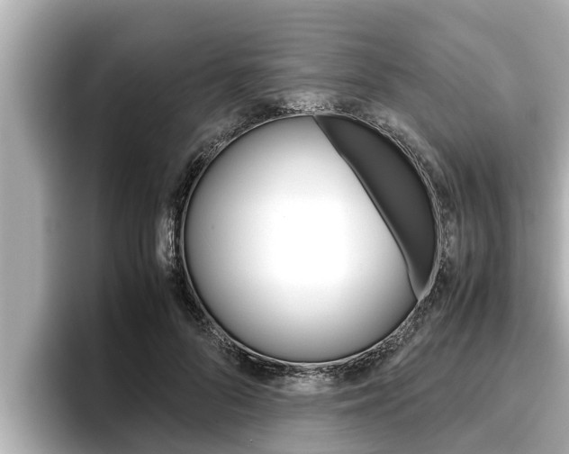 X0000096670696200802051010