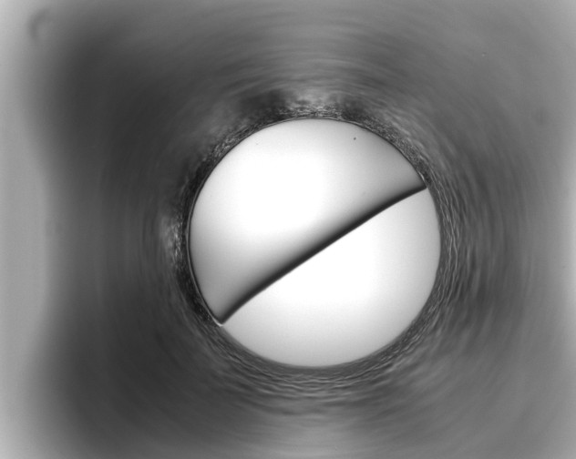 X0000096670699200802051010
