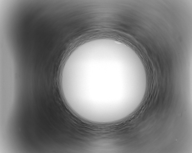 X0000096670701200802051010