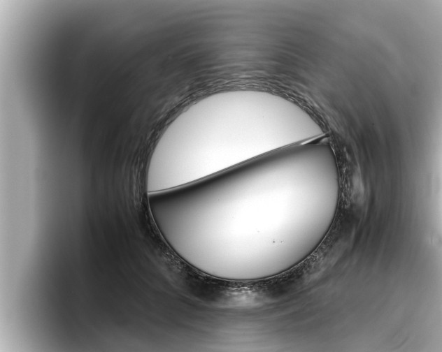 X0000096670704200802051010