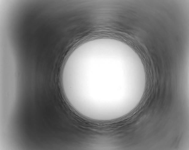 X0000096670705200802051010