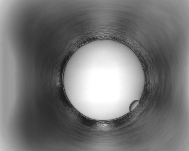 X0000096670706200802051010