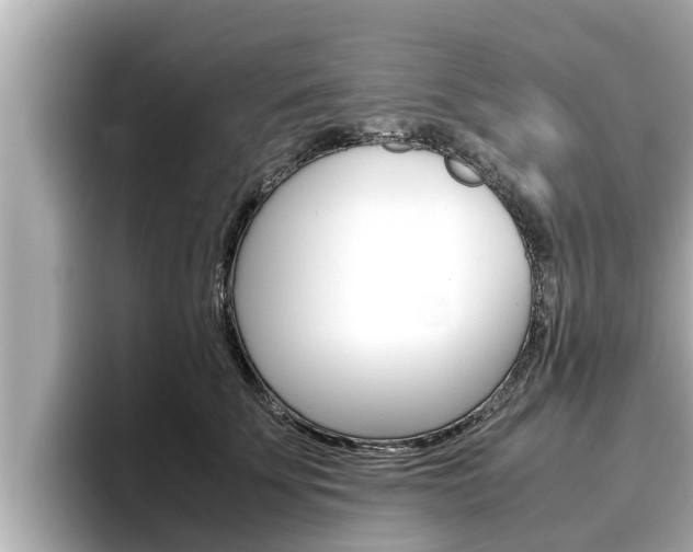 X0000096670707200802051010