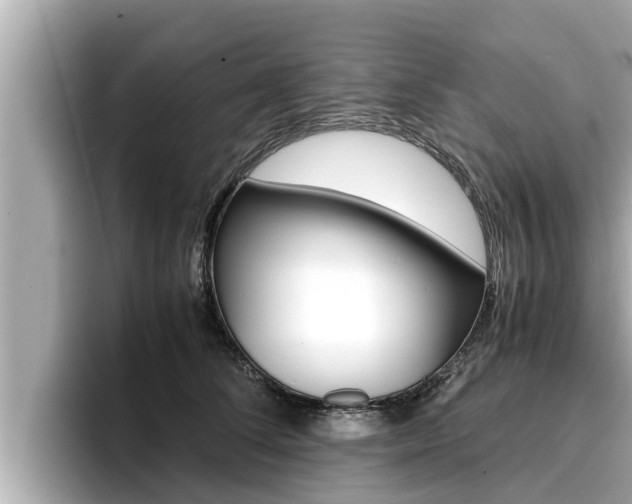 X0000096670708200802051010