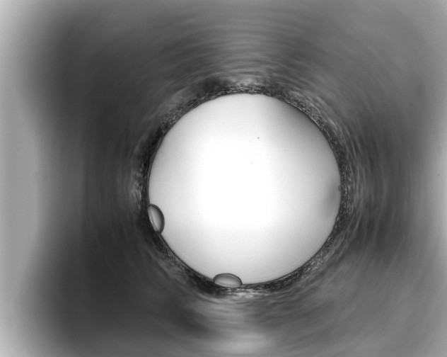 X0000096670710200802051010