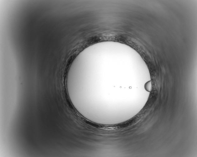 X0000096670711200802051010