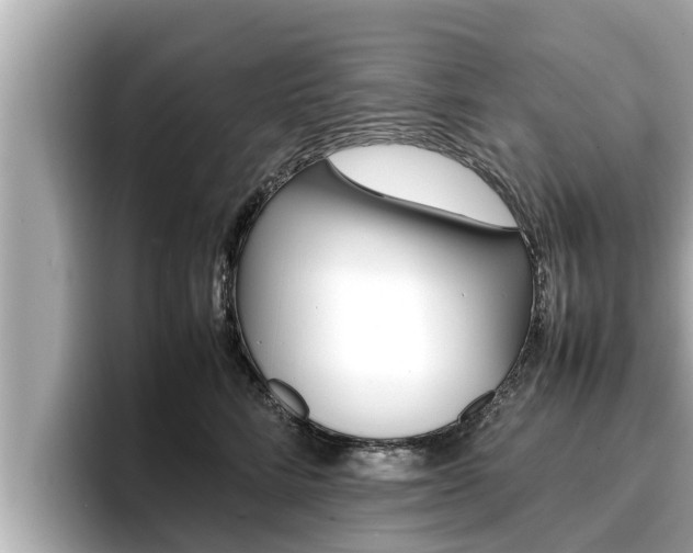 X0000096670712200802051010