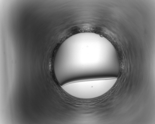 X0000096670715200802051010