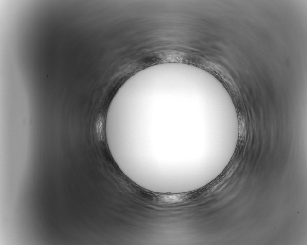X0000096670717200802051010