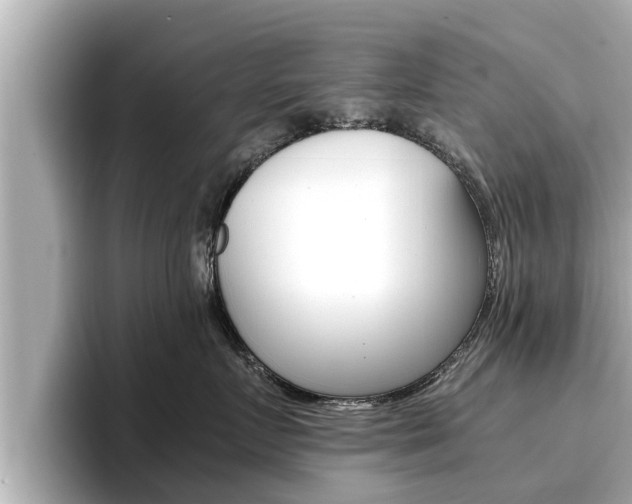 X0000096670719200802051010