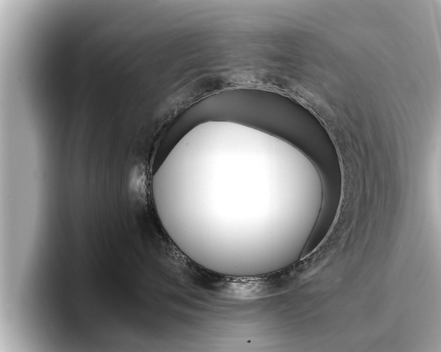 X0000096670720200802051010
